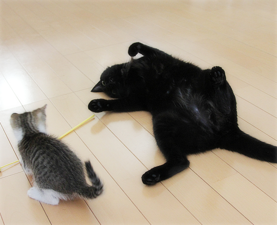 こわいという感情_a0389088_18012779.jpg