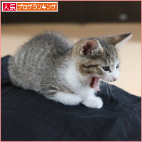 こわいという感情_a0389088_18012801.jpg