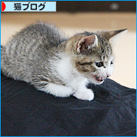 こわいという感情_a0389088_18012896.jpg