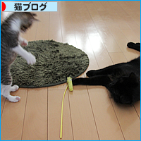 まだまだ、ちみ~だって_a0389088_18012910.jpg