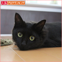 まだまだ、ちみ~だって_a0389088_18012998.jpg
