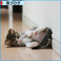 あたらしい、ねねさん_a0389088_18013048.jpg