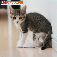 あたらしい、ねねさん_a0389088_18013095.jpg