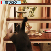 大人の階段_a0389088_18013205.jpg