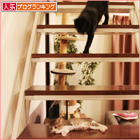 大人の階段_a0389088_18013247.jpg