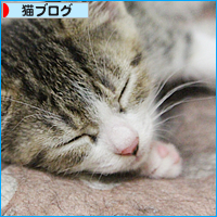 はじめての・・・_a0389088_18013369.jpg