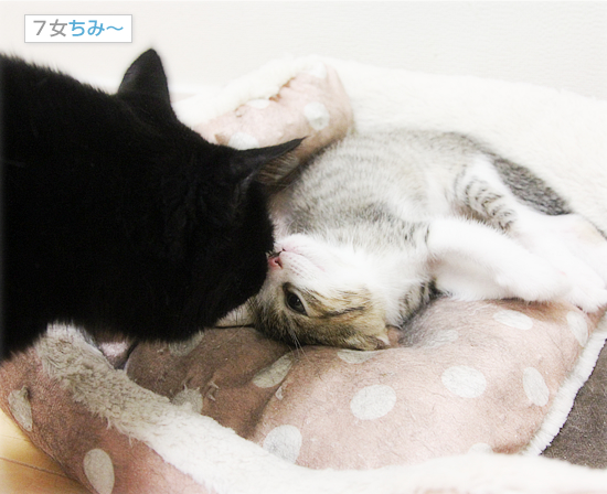 はじめての・・・_a0389088_18013377.jpg