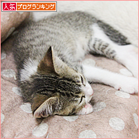 はじめての・・・_a0389088_18013381.jpg