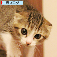 子猫ってやつは・・・_a0389088_18013658.jpg