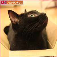 アラフォーの箱入り娘_a0389088_18013835.jpg