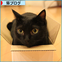 アラフォーの箱入り娘_a0389088_18013873.jpg