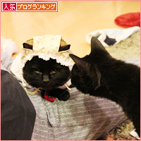 みつきの居場所_a0389088_18013913.jpg
