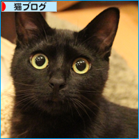 みつきの居場所_a0389088_18013919.jpg