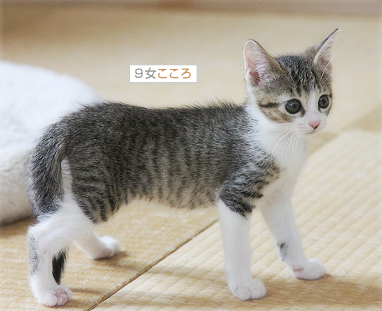おそろしいねねさん_a0389088_18014158.jpg
