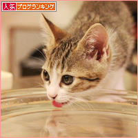 東京から帰ったら_a0389088_18014364.jpg