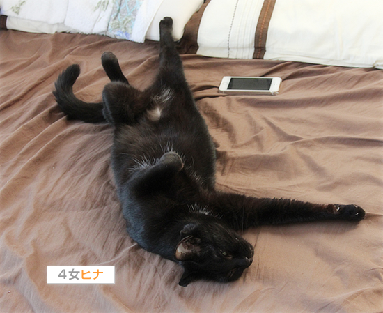 はじめての夏がきた!_a0389088_18014401.jpg