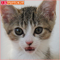 子猫のよっぱらい_a0389088_18014437.jpg