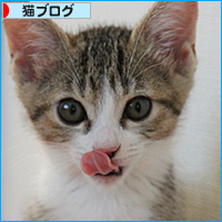 子猫のよっぱらい_a0389088_18014444.jpg