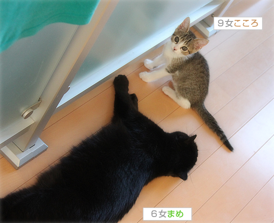 はじめての夏がきた!_a0389088_18014460.jpg