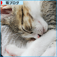 はじめての夏がきた!_a0389088_18014548.jpg