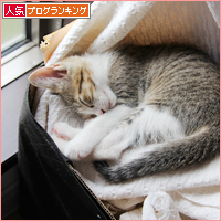 はじめての夏がきた!_a0389088_18014596.jpg