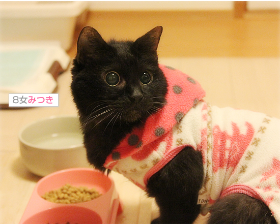 みつきの日_a0389088_18014714.jpg
