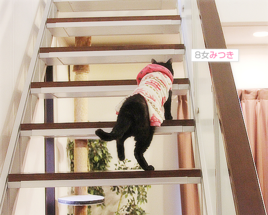 みつきの日_a0389088_18014787.jpg