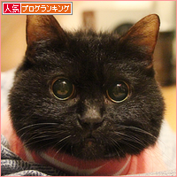 みつきの日_a0389088_18014818.jpg