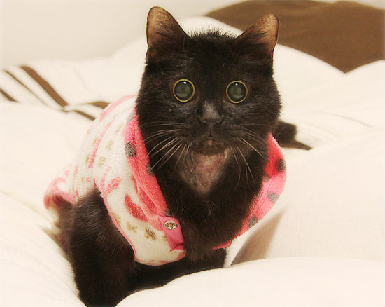 みつきの日_a0389088_18014837.jpg