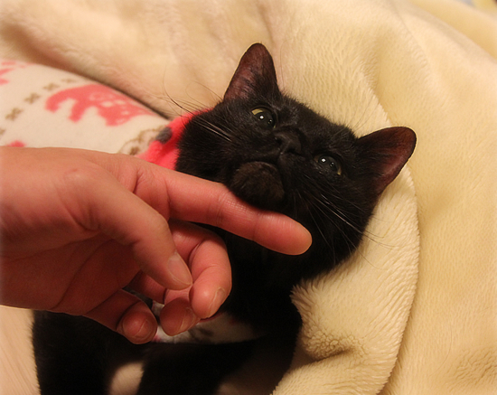 みつきのおしり_a0389088_18014866.jpg
