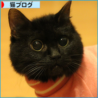 みつきの日_a0389088_18014892.jpg