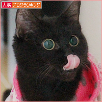みつきのおしり_a0389088_18014967.jpg