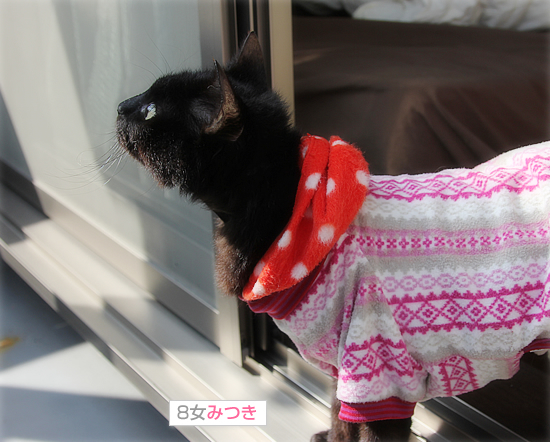 みつきのおしり_a0389088_18014977.jpg
