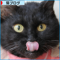 みつきのおしり_a0389088_18014985.jpg