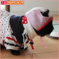 みつきガールズコレクション♪_a0389088_18015210.jpg