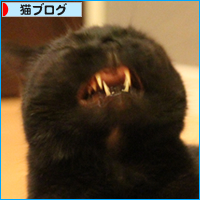 今日は・・・_a0389088_18020841.jpg