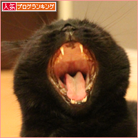 今日は・・・_a0389088_18020857.jpg