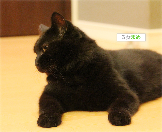今日は・・・_a0389088_18020889.jpg