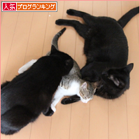 両手に黒猫_a0389088_18021345.jpg