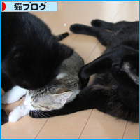 両手に黒猫_a0389088_18021496.jpg