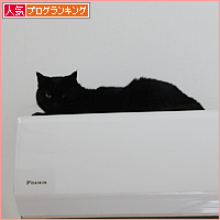 猫の毛_a0389088_18021757.jpg