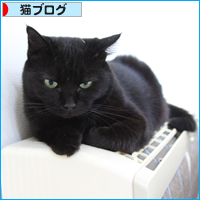 猫の毛_a0389088_18021797.jpg