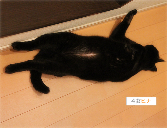 雨の日は・・・_a0389088_18022908.jpg