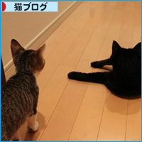 雨の日は・・・_a0389088_18022995.jpg