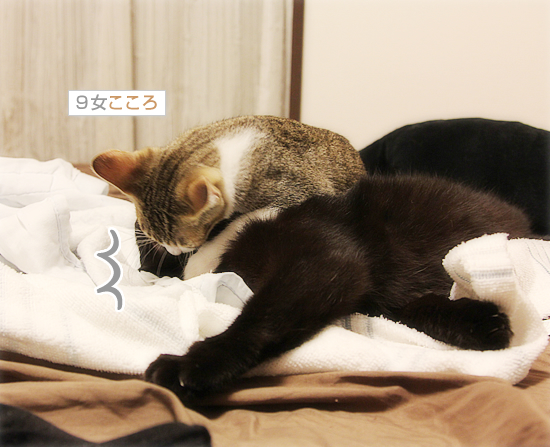 ガブリエル_a0389088_18023405.jpg