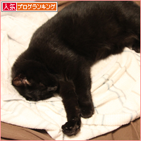 ガブリエル_a0389088_18023515.jpg
