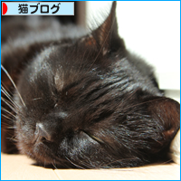 スコティッシュもどき_a0389088_18024514.jpg