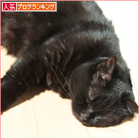 スコティッシュもどき_a0389088_18024536.jpg