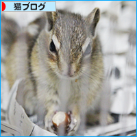 まさかのブランク_a0389088_18030323.jpg