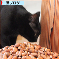 まねっこ_a0389088_18030786.jpg